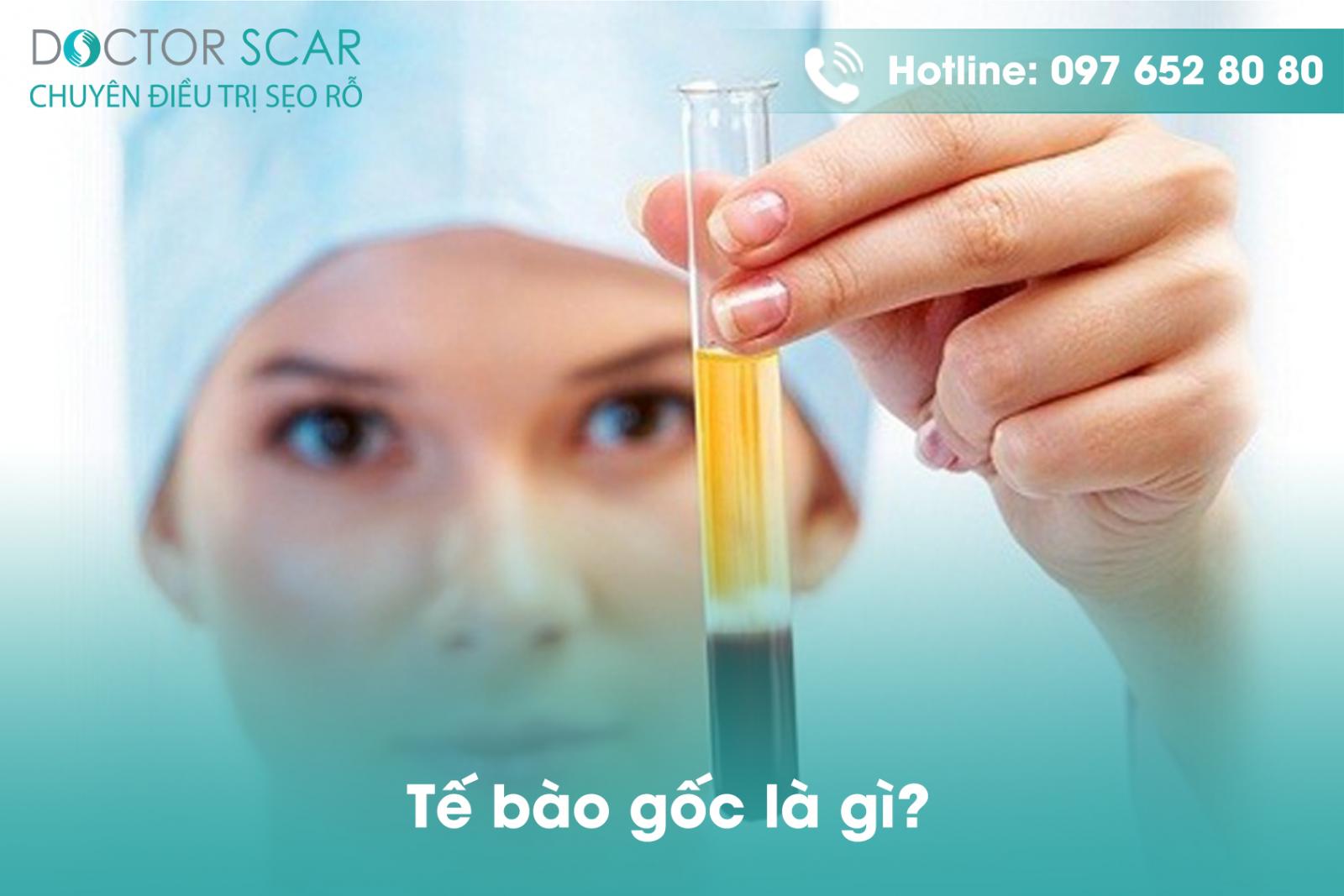 Tế bào gốc là gì?