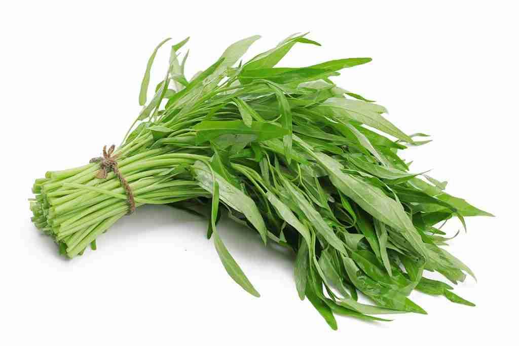 phòng tránh sẹo lồi