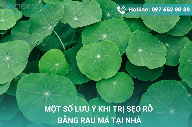 Một số lưu ý khi điều trị sẹo rỗ bằng rau má.