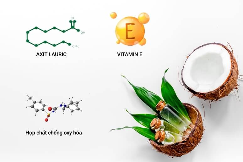 thành phần của dầu dừa trị sẹo rỗ